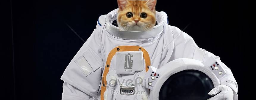 Кириешка
