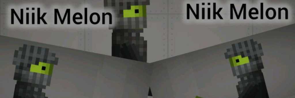 Niik Melon