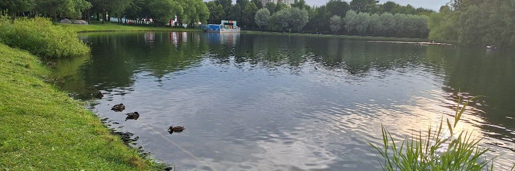 Видео Приколы