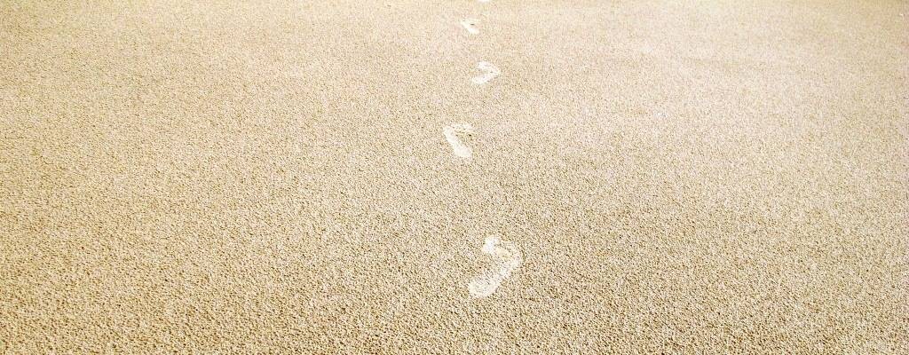 АЛЕКСЕЙ БРЮХОВЕЦКИЙ ЙОГА ДЛЯ ЖИЗНИ