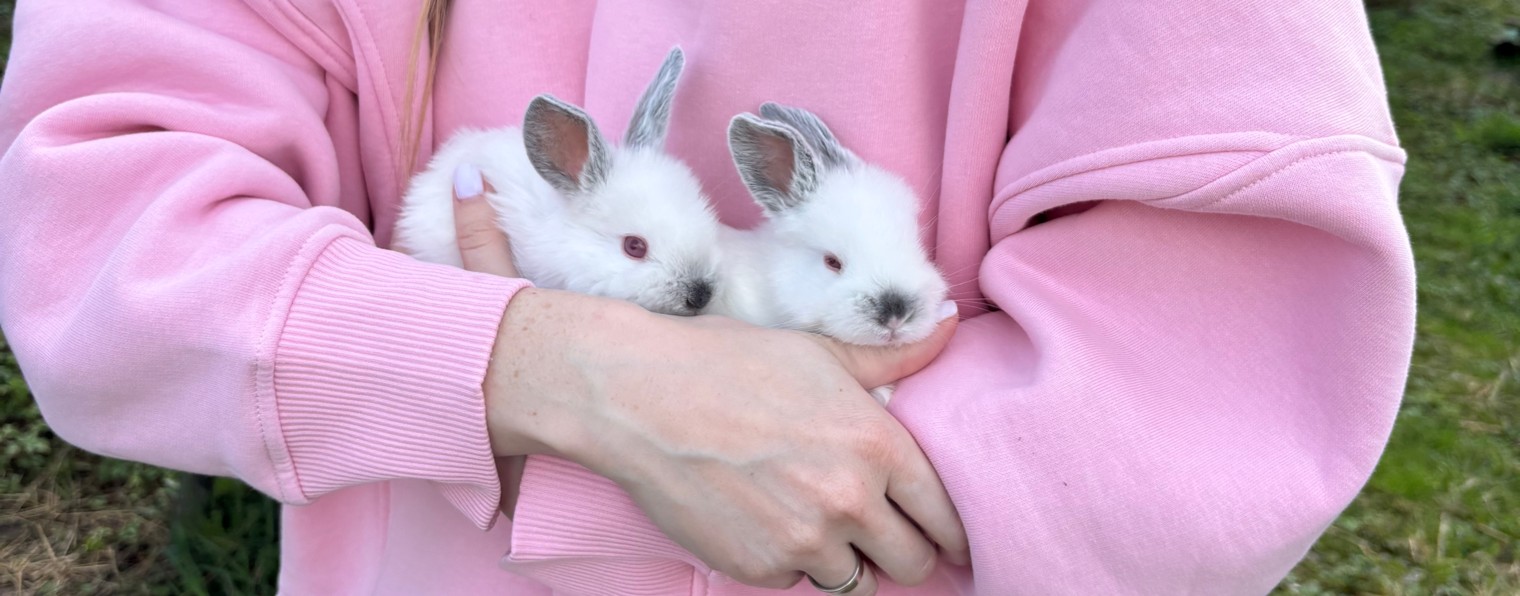 4А&Ко