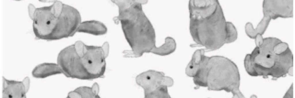 Финик и Фунтик🐾🐭