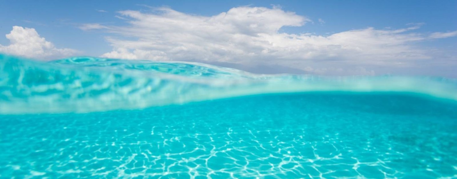 Дмитрий Дьяков