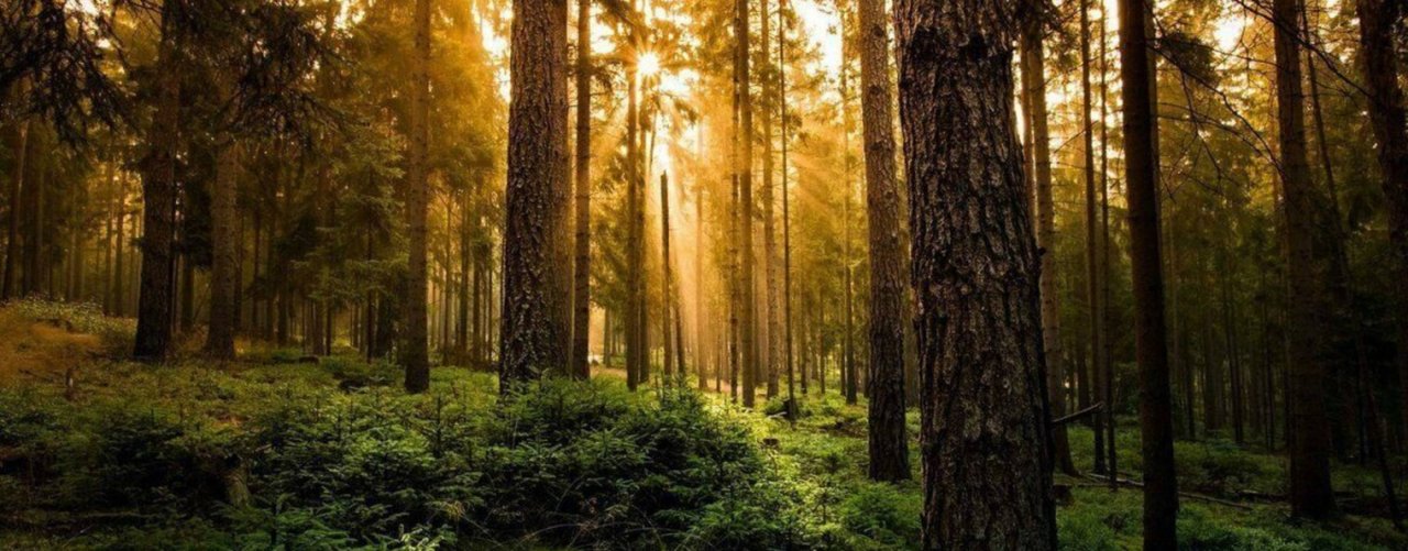 Юлия Валова • Пробуждение Сознания