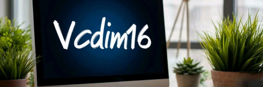 Vadim16