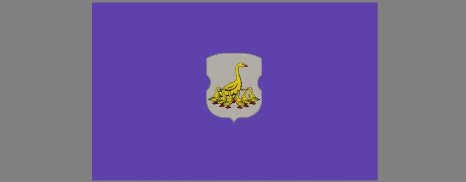 Goose 56k