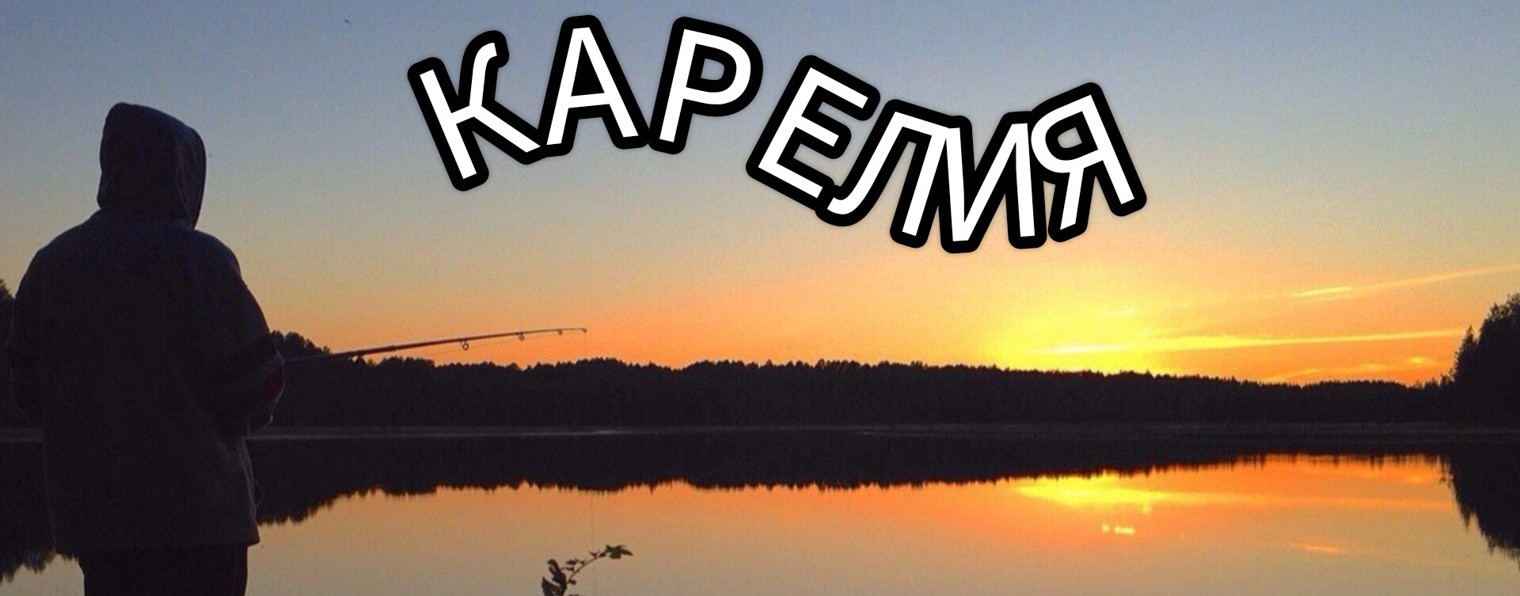 КАРЕЛ в ДЕЛЕ