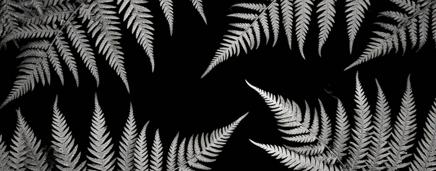 Music Info News