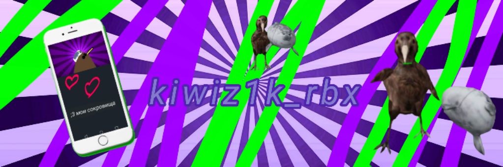 Kiwiz1k_rbx