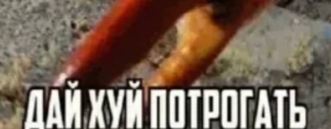 Сик следит за тобой