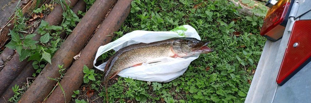 В гостях у которого клюет