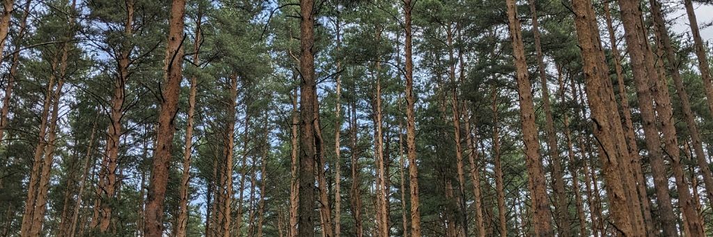 Мы тут были