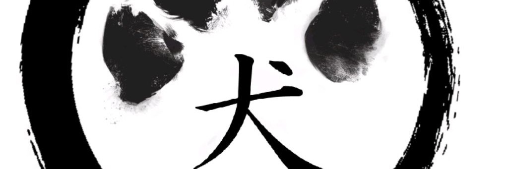 R_K-9