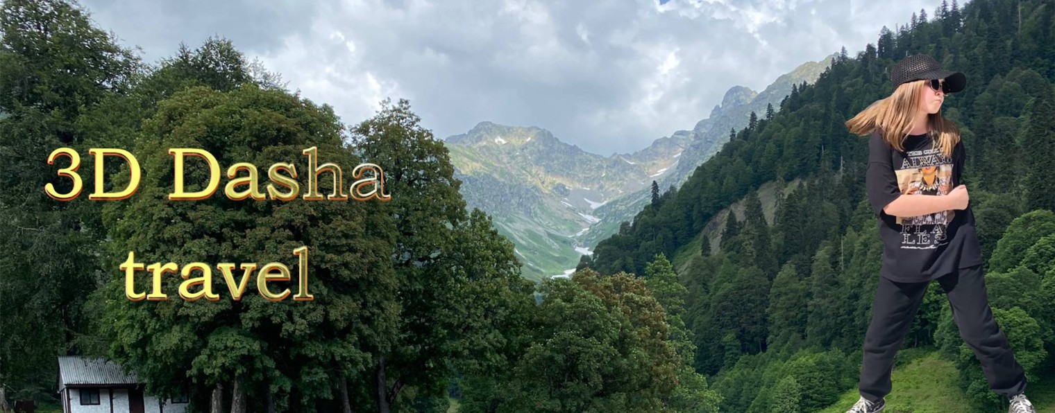 3D Dasha travel