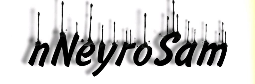 nNeyroSam