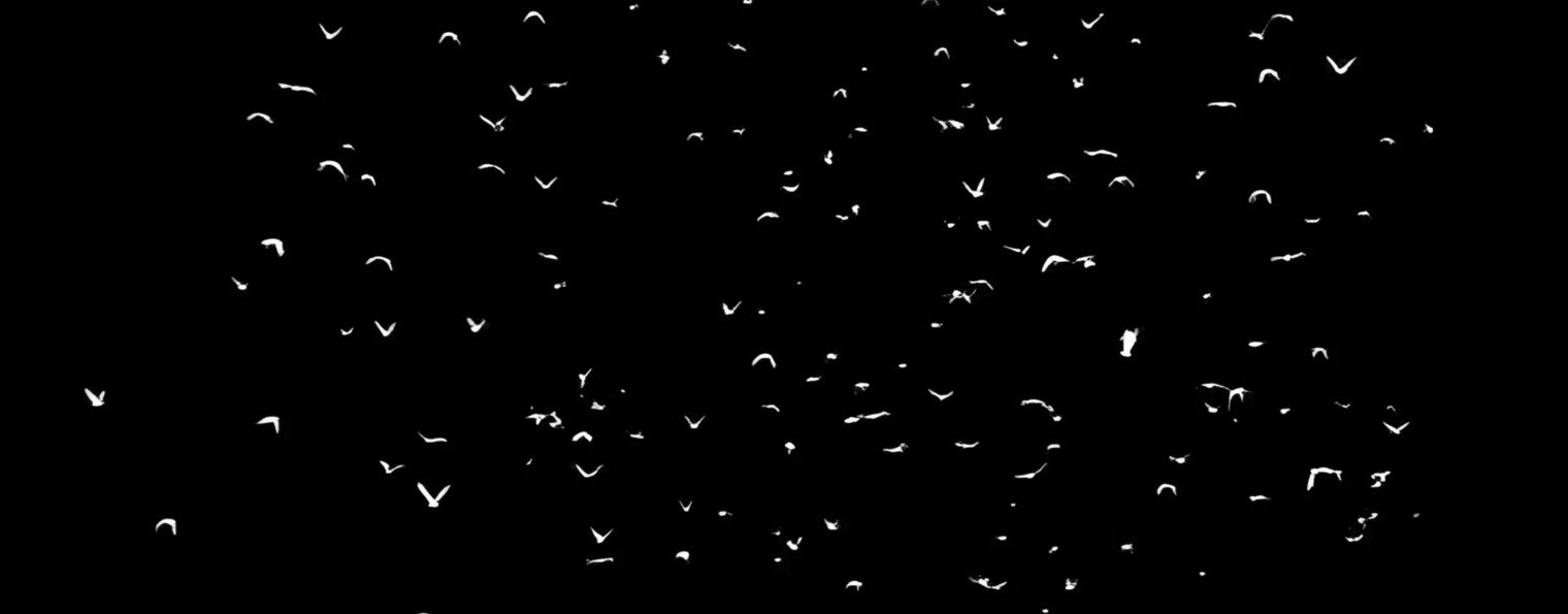 AI-ПРОДАКШН ILLUMUR