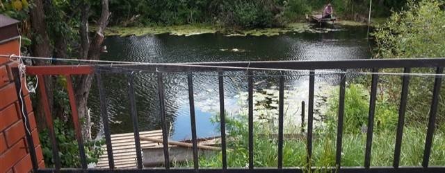 Петр Петрович