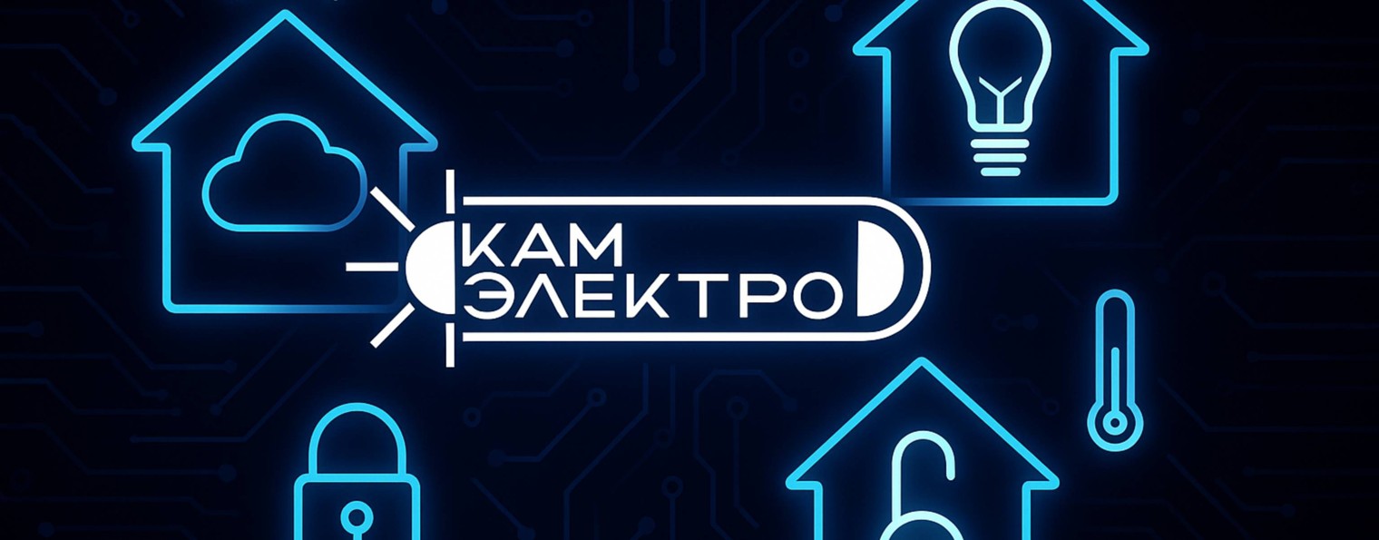 CamElectro