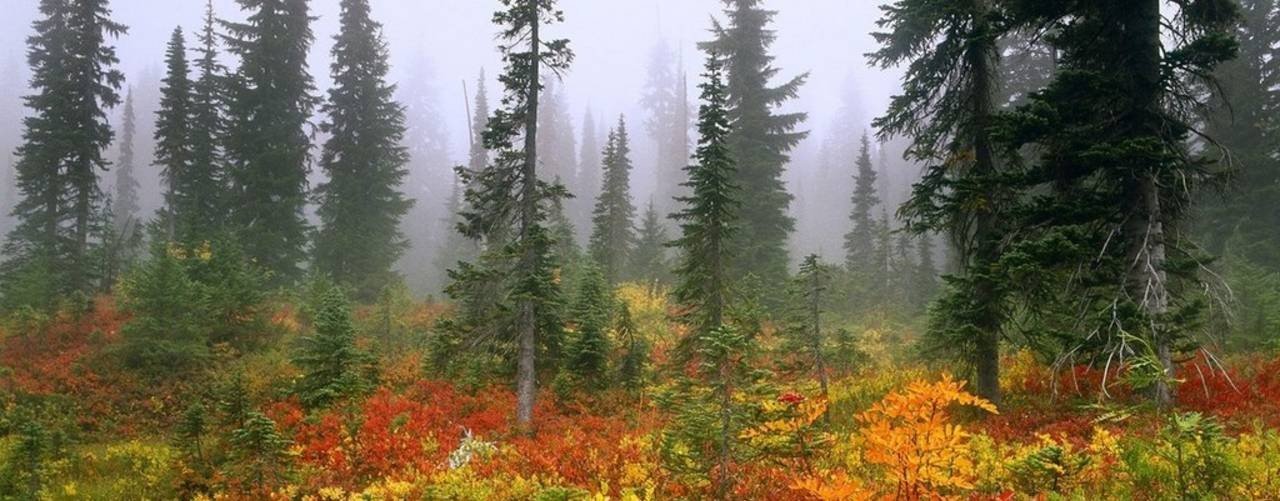 С ружьём и удочкой.