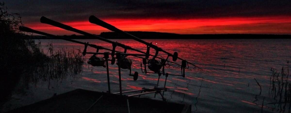 Карпфишинг 🎣Абинск
