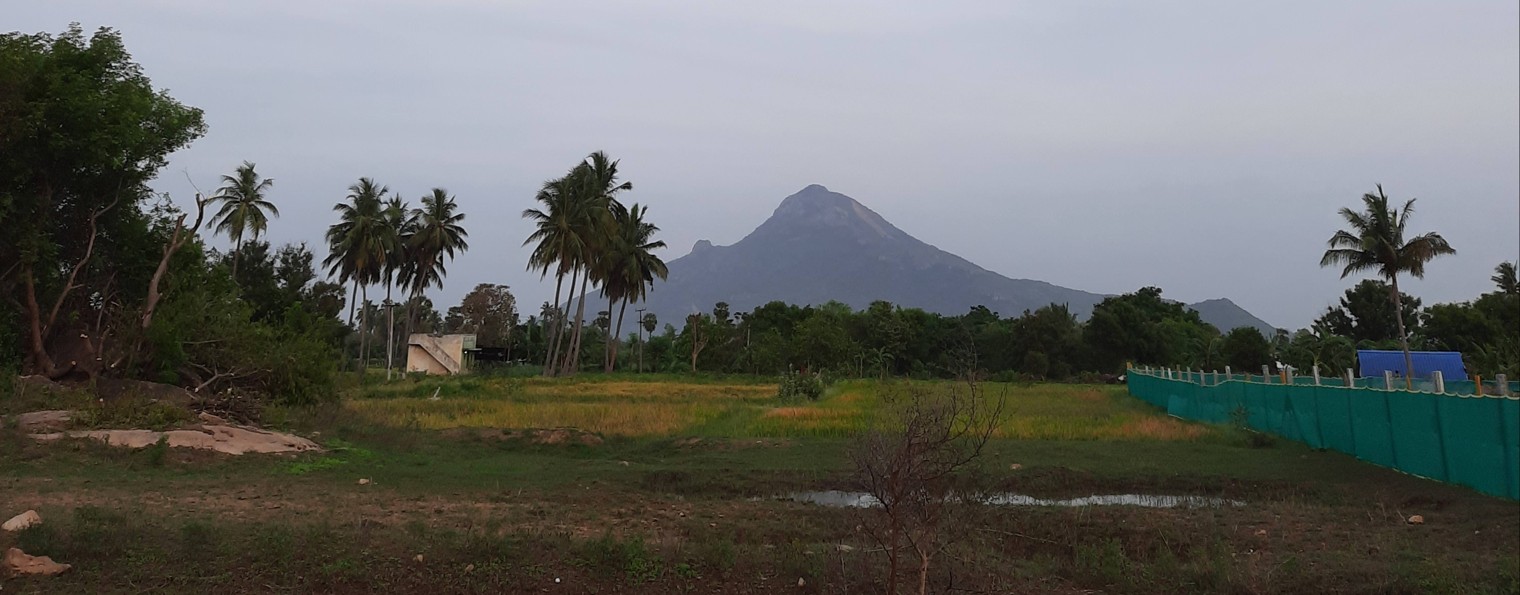 УКАЗАТЕЛИ ИСТИНЫ: Вечный Сатсанг
