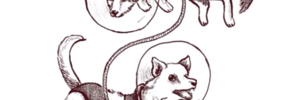 Стрелка и дом