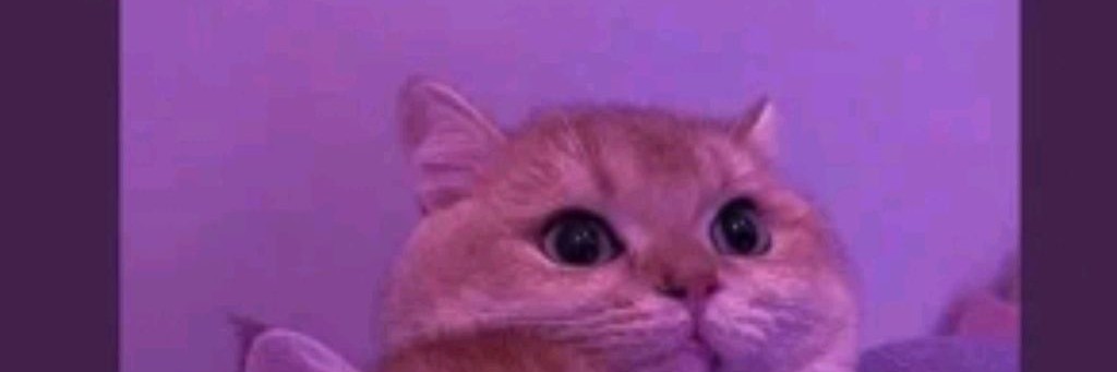 +:🌸Rbiksik+:'🐚