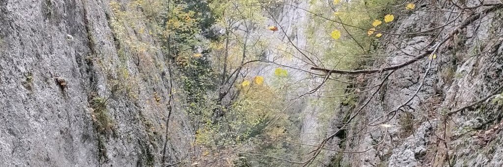 Агроном-альпинист