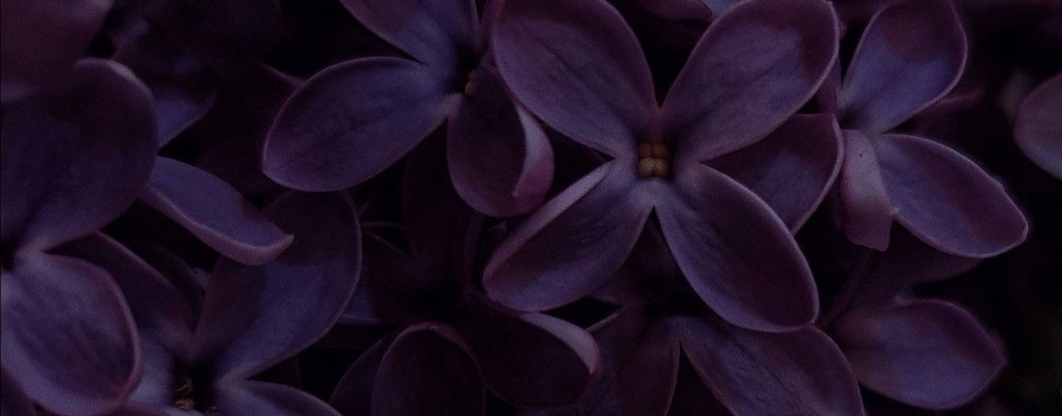 Метод Романовой