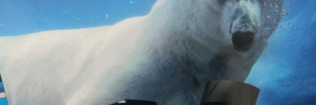 Никита Стекло 04