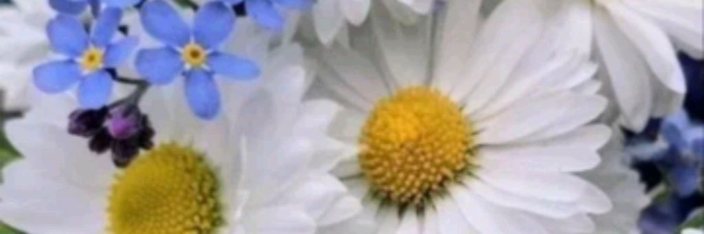 🍁Иделия🍁