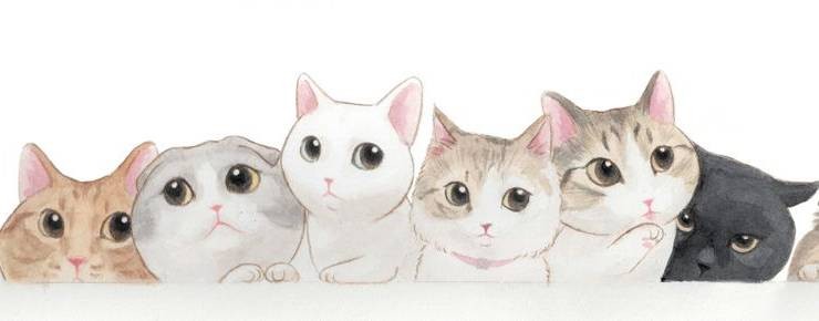 «Лапы вверх!»