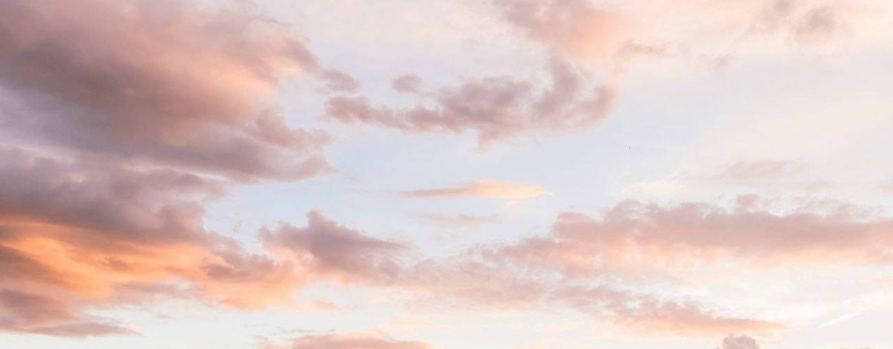 Olga Berg International