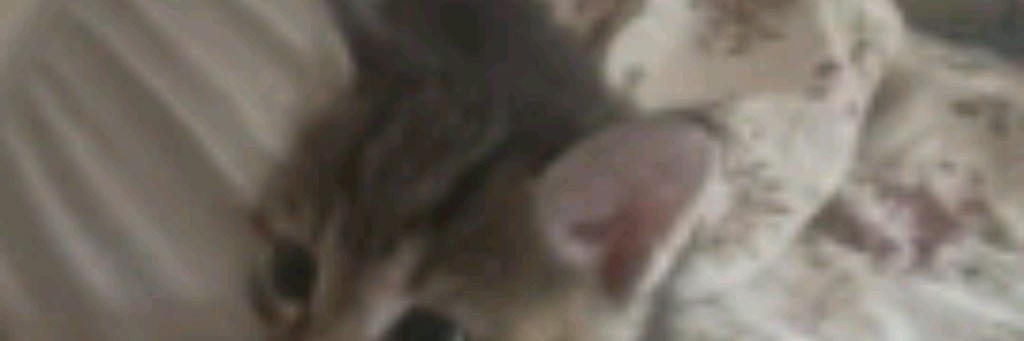 Корень зла 😈😈😈😈😈