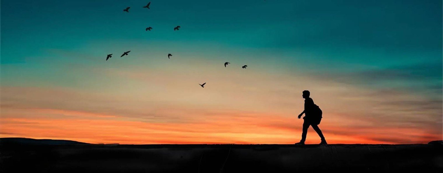 Свобода Жизни