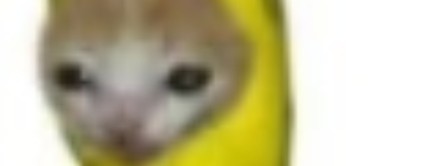 ЦВЕТЕК ФИОЛЕТЕК💜