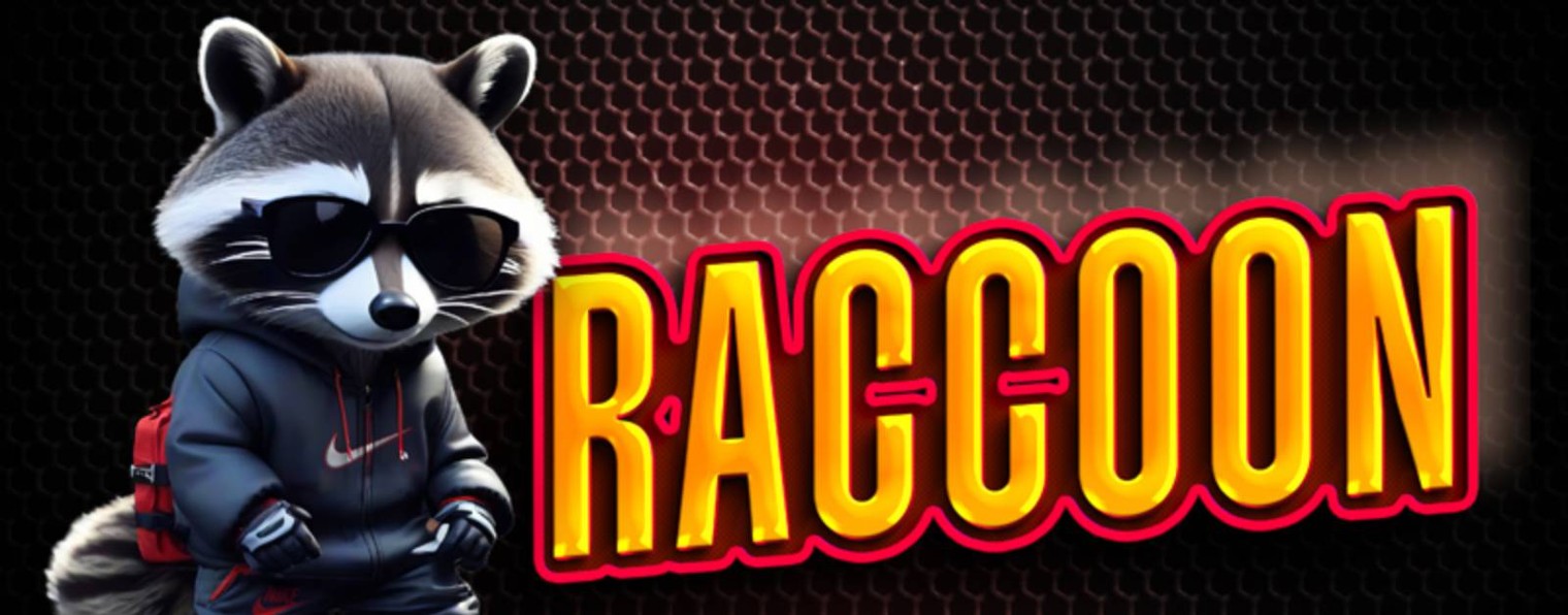 Raccoon_Russia
