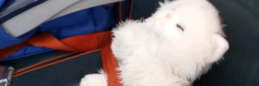 Пушистое Облако ☁️💞🗺️