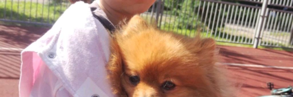 Элисан😎🐶