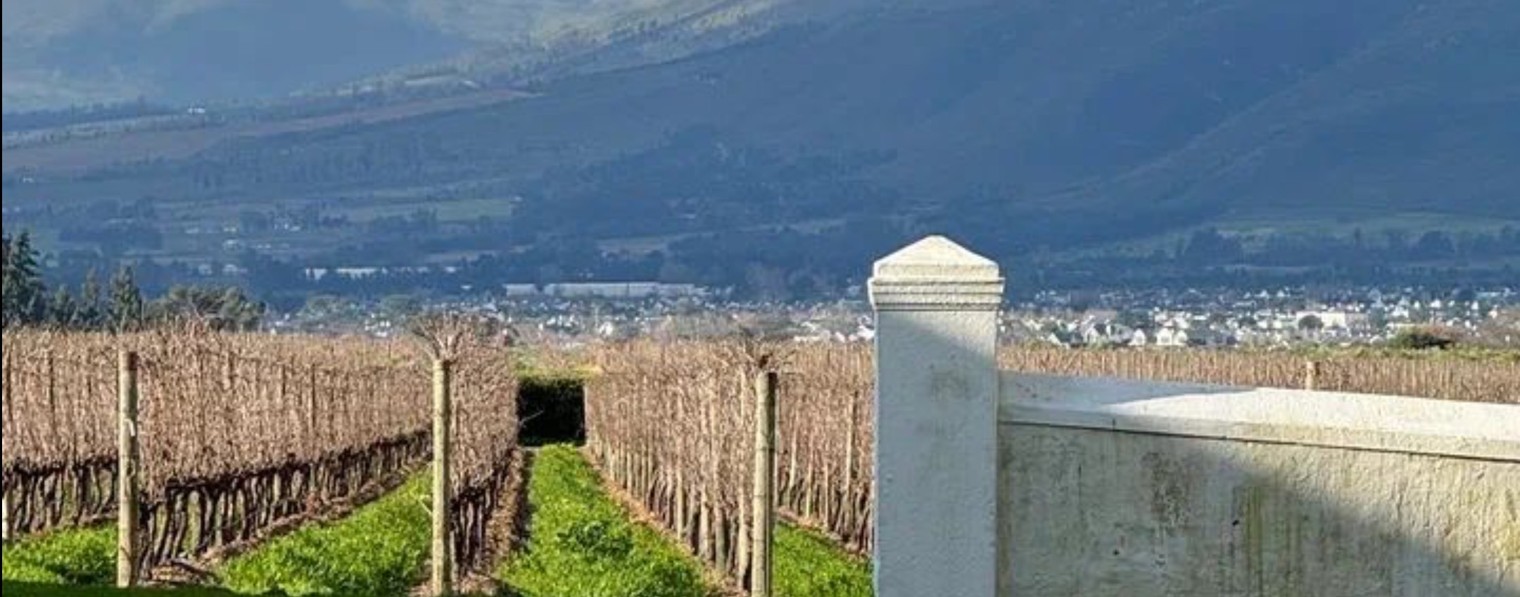 Hedonism Club — Авторские путешествия