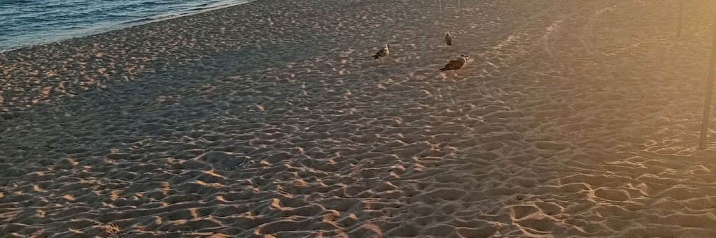 ♡𝓜𝓲𝓵𝓴𝓪★