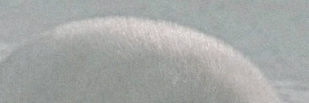 Мистер тюлень 🦭🦭 Ahha5477