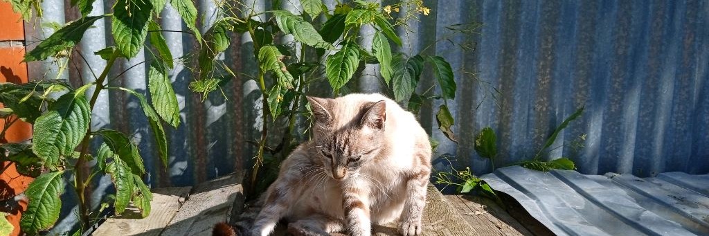 Метро майнкрафт