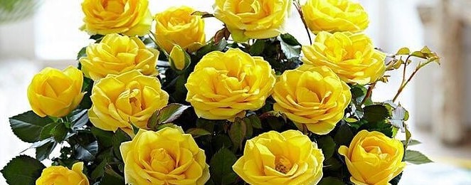 Озарение🪬🔮