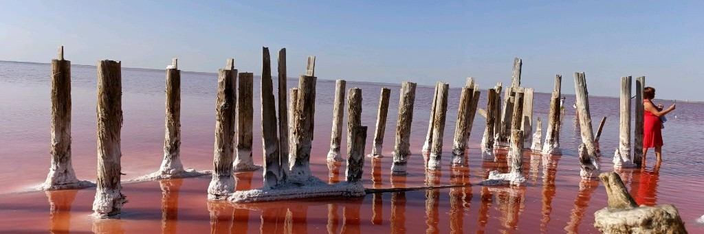 Тигро-мыше-слон