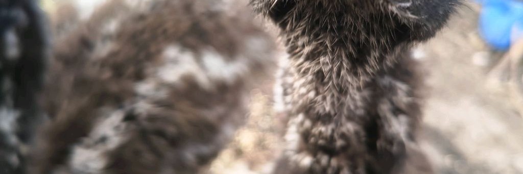 Деревенские Просторы