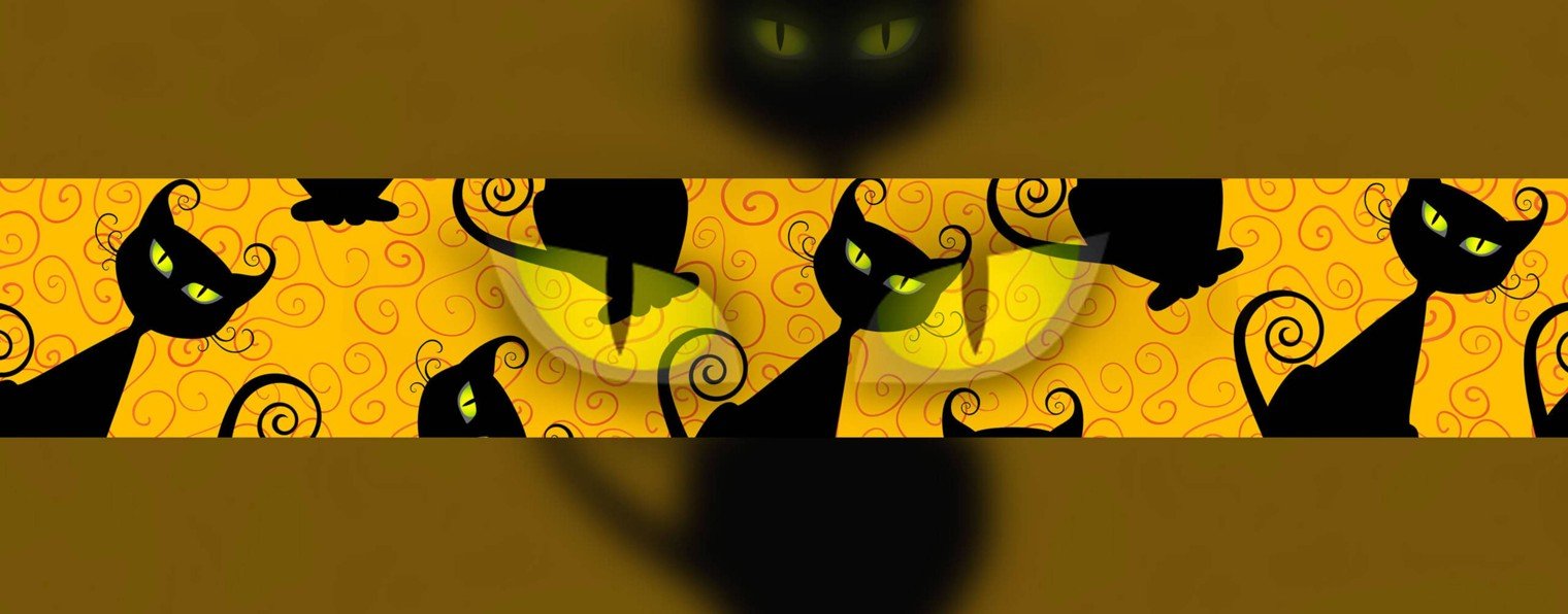 Dr Wolf 💸 Финансовый РЕАНИМАТОР | Денежные схемы.