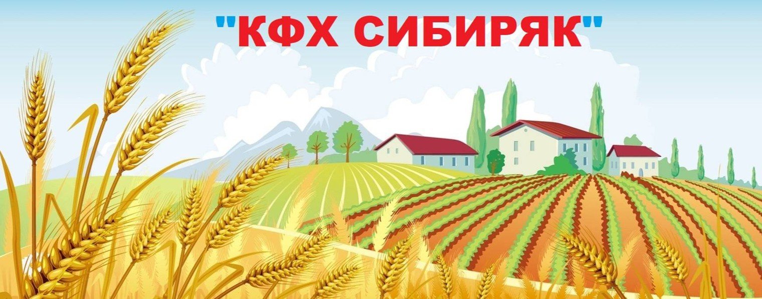 Павел Кольцов "КФХ СИБИРЯК"