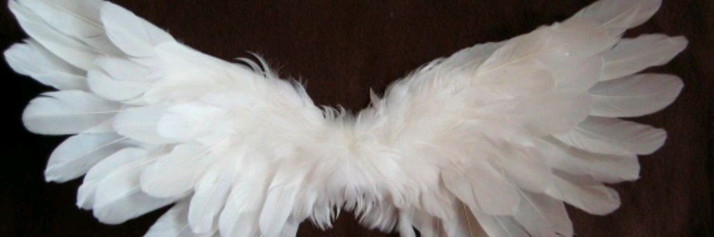 🐝✨Пчёлка на ёлке🌲🐝