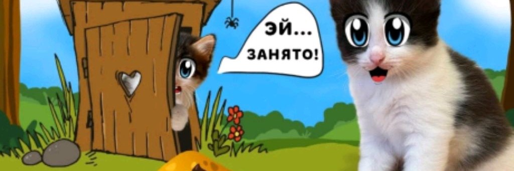 Вова
